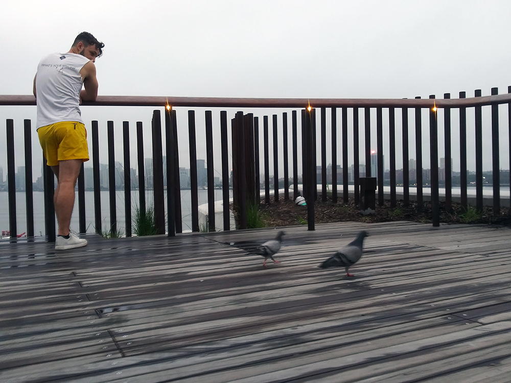 guy with pigeons // little island